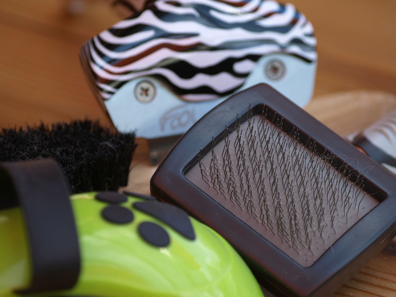 Brush your dog's coat.